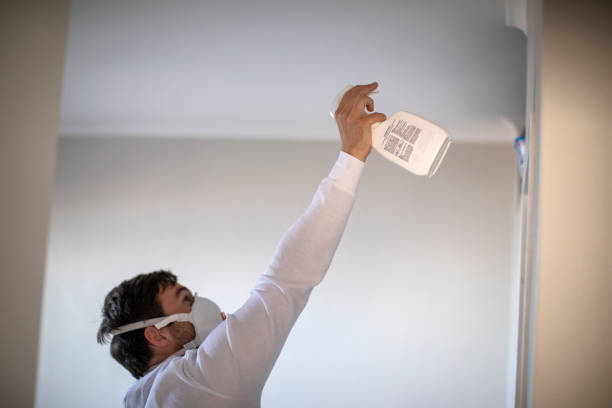 Best Commercial Mold Removal  in Edwardsville, KS
