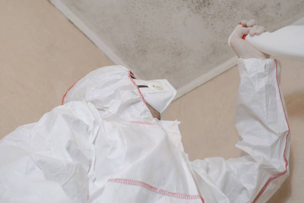 Best Mold Removal Near Me  in Edwardsville, KS
